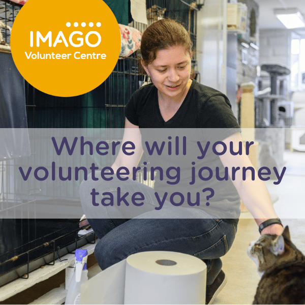 Photo of a lady helping out at a cat sanctuary with the words where will your volunteering journey take you?